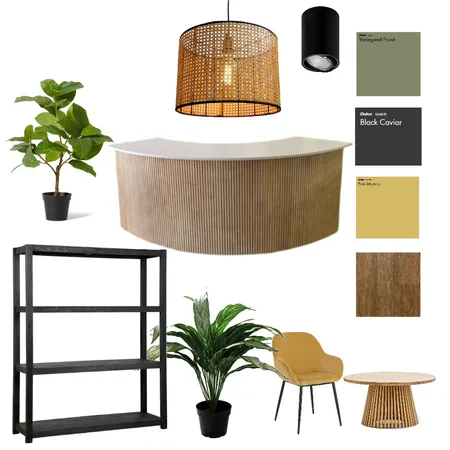 Priekštelpas moodboard Interior Design Mood Board by elizabetepaulab on Style Sourcebook