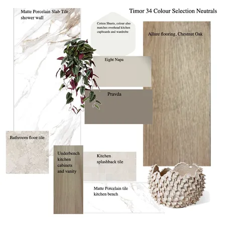 Timor 34 Colour Selection Neutrals Interior Design Mood Board by Donna G on Style Sourcebook