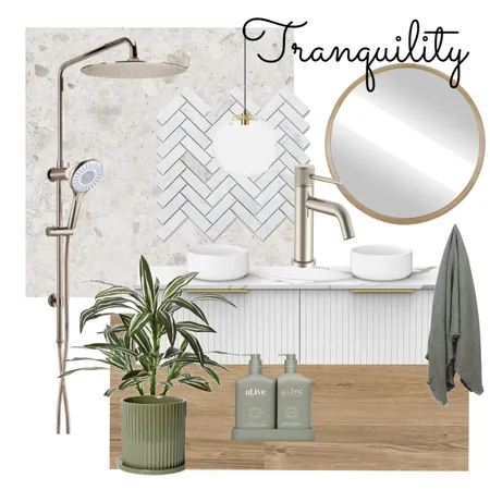 Accessible Bathroom Interior Design Mood Board by amybeezy21@gmail.com on Style Sourcebook