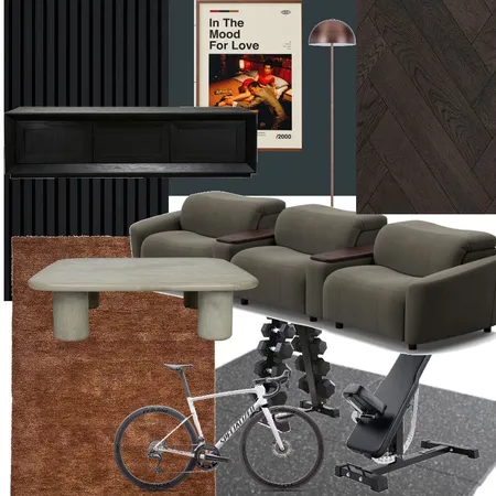 GymCinema Interior Design Mood Board by LuKi2209 on Style Sourcebook