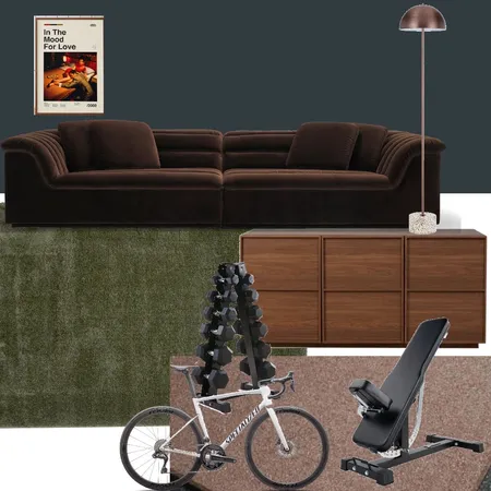 GymCinema_v2 Interior Design Mood Board by LuKi2209 on Style Sourcebook