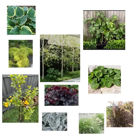 plants Interior Design Mood Board by Susan Conterno on Style Sourcebook