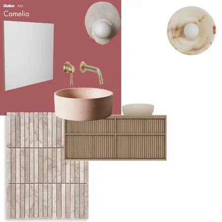 Powder room pink Interior Design Mood Board by cdef on Style Sourcebook
