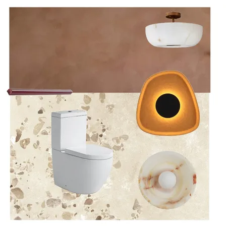 Mill Place Toilet Interior Design Mood Board by BK on Style Sourcebook