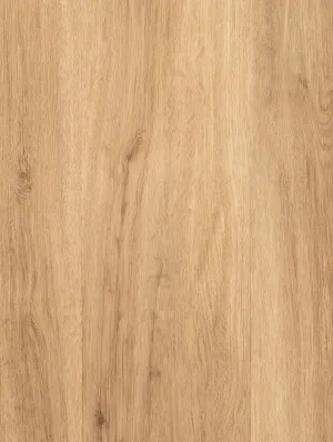 Sandpaper Oak by Genero Multi-lay Wideboard, a Light Neutral Vinyl for sale on Style Sourcebook