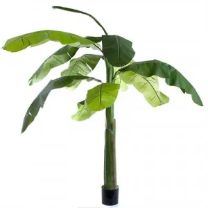 Artifical Banana Tree in Pot by Florabelle, a Plants for sale on Style Sourcebook