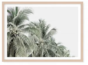 Tropical Palms by Boho Art & Styling, a Prints for sale on Style Sourcebook