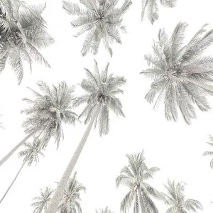 Palm Tree Mural Removable Wallpaper by Boho Art & Styling, a Wallpaper for sale on Style Sourcebook