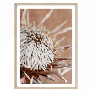 Terracotta Protea by Boho Art & Styling, a Original Artwork for sale on Style Sourcebook