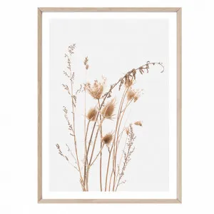 Dried Field Grasses by Boho Art & Styling, a Prints for sale on Style Sourcebook