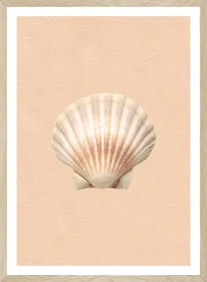 GOLDEN SHELL BY SEASCAPE LIVING by Seascape Living, a Original Artwork for sale on Style Sourcebook