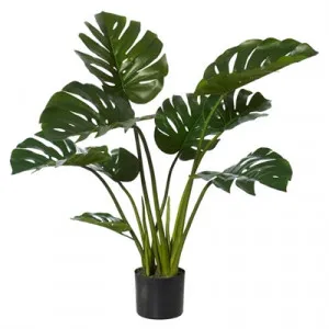 Potted Artificial Monstera Plant, 90cm by Rogue, a Plants for sale on Style Sourcebook