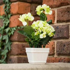 Artificial Miniature Hydrangeas in Pot - Light Green by FLH, a Plants for sale on Style Sourcebook
