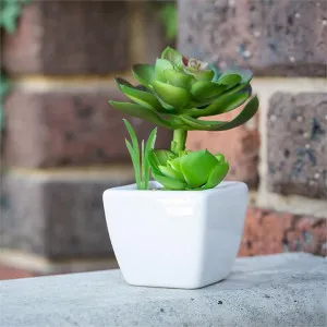 Artificial Cacti Bloom in Pot by FLH, a Plants for sale on Style Sourcebook