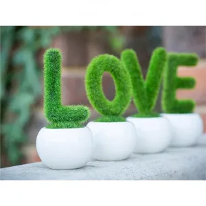 L.O.V.E. Artificial Moss Creeper Set by FLH, a Plants for sale on Style Sourcebook