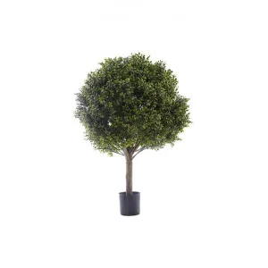 Artificial Boxwood Ball Topiary Tree, 85cm by Florabelle, a Plants for sale on Style Sourcebook