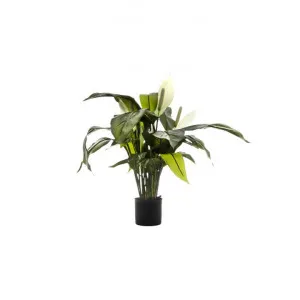 Artificial Spathiphyllum Lily, White Flower, 63cm by Florabelle, a Plants for sale on Style Sourcebook