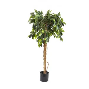 Potted Artificial Ficus Tree, Type C, 120cm by Florabelle, a Plants for sale on Style Sourcebook
