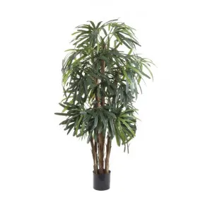 Artificial Raphis Palm, 120cm by Florabelle, a Plants for sale on Style Sourcebook
