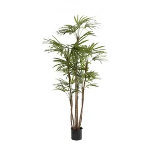Artificial Honey Lady Palm, 120cm by Florabelle, a Plants for sale on Style Sourcebook