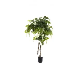 Artificial Wisteria Tree, 190cm, White by Florabelle, a Plants for sale on Style Sourcebook