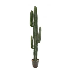Arla Potted Artificial Cactus, 148cm by Florabelle, a Plants for sale on Style Sourcebook