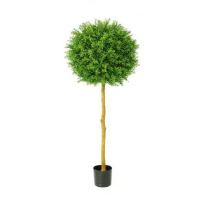 Potted Artificial Rosemary Ball Topiary, 120cm by Florabelle, a Plants for sale on Style Sourcebook