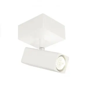 Artemis Commercial Grade Metal Spotlight, White by Cougar Lighting, a Spotlights for sale on Style Sourcebook