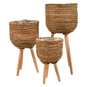 Wistar 3 Piece Banana Leaf Planter Stand Set by Casa Sano, a Plant Holders for sale on Style Sourcebook