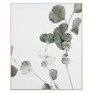 Eucalyptus Branch 1 Box Framed Canvas in 100x120cm by OzDesignFurniture, a Painted Canvases for sale on Style Sourcebook