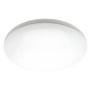 Pando LED Oyster Light, 16W, 5000K by Cougar Lighting, a Spotlights for sale on Style Sourcebook