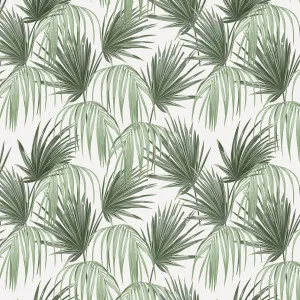 Tropical Fronds Removable Wallpaper by Boho Art & Styling, a Wallpaper for sale on Style Sourcebook
