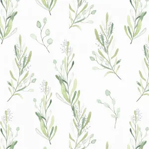 Olive Garden Removable Wallpaper by Boho Art & Styling, a Wallpaper for sale on Style Sourcebook
