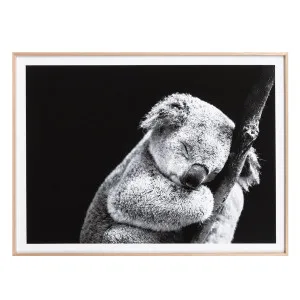 Sleepy Koala Box Framed Canvas in 120 x 150cm by OzDesignFurniture, a Prints for sale on Style Sourcebook