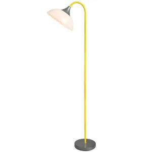 Alberta Metal Base Floor Lamp, Yellow by Lexi Lighting, a Floor Lamps for sale on Style Sourcebook