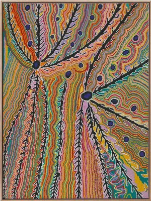 Wakirlpirri Jukurrpa Multicolour Canvas Art Print by Urban Road, a Aboriginal Art for sale on Style Sourcebook