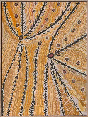 Wakirlpirri Jukurrpa Ochre Canvas Art Print by Urban Road, a Aboriginal Art for sale on Style Sourcebook