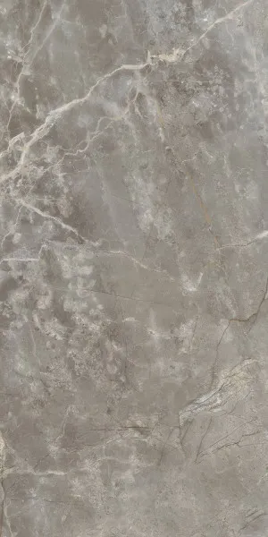 Infinity Marble Fior di Bosco Polished Porcelain Slab Tile by Tile Republic, a Stone Look Tiles for sale on Style Sourcebook