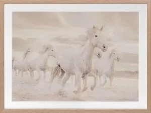 White Horse Stampede Framed Art Print by Urban Road, a Original Artwork for sale on Style Sourcebook