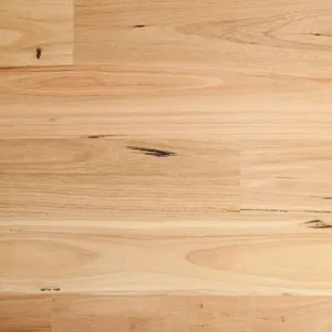 Blackbutt Semi Gloss by Resistance Hardfloor, a Hardwood Flooring for sale on Style Sourcebook