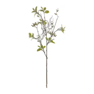 Locita Artificial White Berry Stem, Pack of 3 by Casa Bella, a Plants for sale on Style Sourcebook