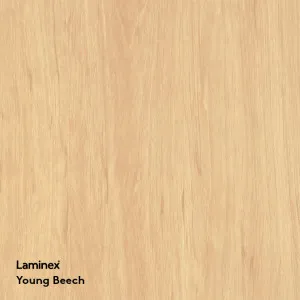 Young Beech by Laminex, a Laminate for sale on Style Sourcebook