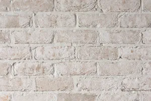 San Selmo Classico - Limewash by Austral Bricks, a Bricks for sale on Style Sourcebook