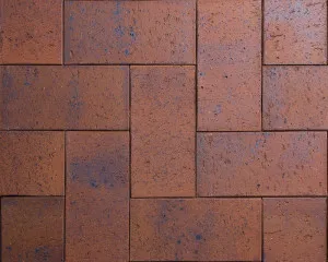 Earth 50 - Gold 'n' Copper by Austral Bricks, a Outdoor Tiles & Pavers for sale on Style Sourcebook