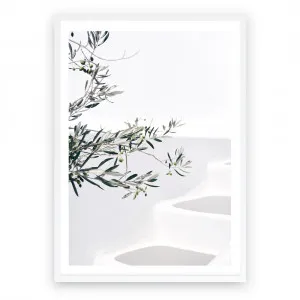 Santorini Olive Branch Photo Art Print by The Print Emporium, a Prints for sale on Style Sourcebook