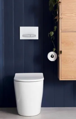 Geberit In Wall Package - Rimini Rimless Pan - Sigma 50 Glass Button by Geberit, a Toilets & Bidets for sale on Style Sourcebook