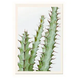 Bora Framed Wall Art Print, African Milk Tree Cactus, 60cm by Superb Lifestyles, a Artwork & Wall Decor for sale on Style Sourcebook