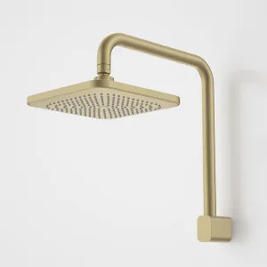 Caroma Luna Fixed Overhead Shower Brushed Brass by Caroma, a Shower Heads & Mixers for sale on Style Sourcebook