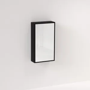 Myra 1 Door Mirror Cabinet 450mm - Black Oak by ABI Interiors Pty Ltd, a Shaving Cabinets for sale on Style Sourcebook