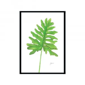 Philodendron Living Wall Art | CANVAS Black Boxed Frame A3 (29.7cm x 42cm) by Luxe Mirrors, a Artwork & Wall Decor for sale on Style Sourcebook